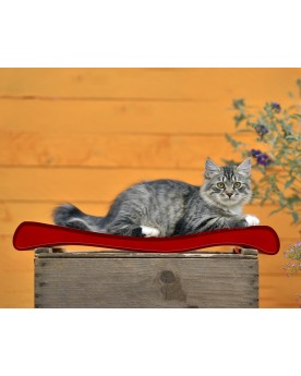 Tiragraffi Cat On in cartone ondulato per gatti Modello OLA