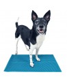 FitPaws K9 FitMat