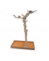 Coffee Tree BM52679 - Trespolo Pappagallo