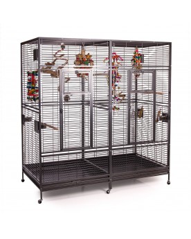 Arkansas Nova II - antik