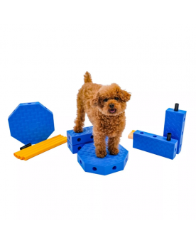 Fitpaws FitKinect Core