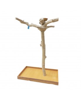 Coffee Tree BL63195 -...