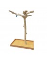 Coffee Tree BL63195 - Trespolo pappagallo
