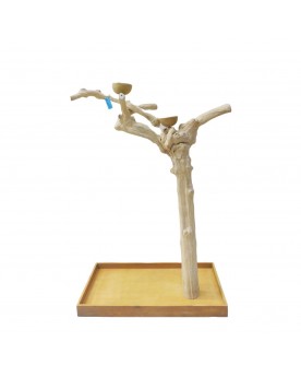 Coffee Tree BL63191  -...