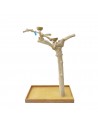 Coffee Tree BL63191  - Trespolo Pappagallo