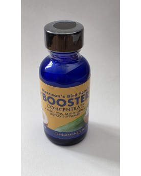 BOOSTER CONCENTRATE 20 gr