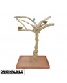 Coffee Tree BL64054  Large
