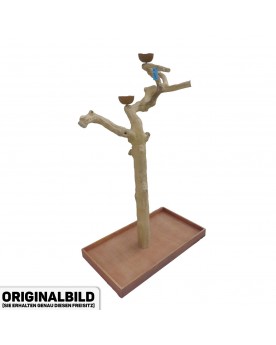 Coffee Tree BL64061...