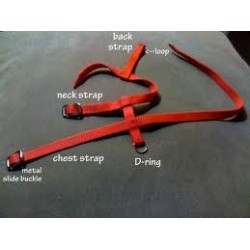 Aviator Imbracatura pappagallo dettaglio componenti