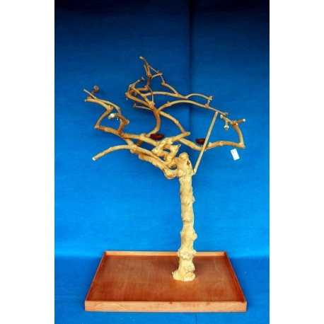 Coffee Tree AM 2175 - Trespolo Pappagallo Coffee Tree AM 2175 - Trespolo Pappagallo