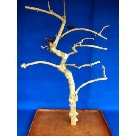 Coffee Tree AL 3148 - Trespolo Pappagallo Coffee Tree AL 3148 - Trespolo Pappagallo