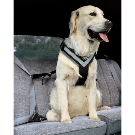 ALLSAFE MEDIUM - La Cintura di sicurezza crash-test per cani ALLSAFE MEDIUM - La Cintura di sicurezza crash-test per cani