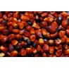 Noci di Palma Fresche - Congelate 500 gr