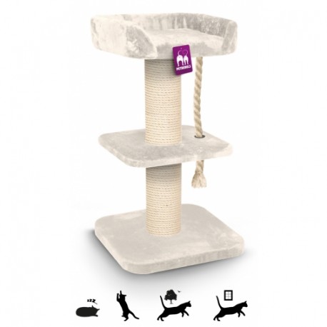 Tiragraffi The Rebels Maine Coon 120 ROYAL CREAM Tiragraffi The Rebels Maine Coon 120 ROYAL CREAM