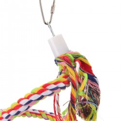 Corda Spirale Colorata Small per Parrocchietto