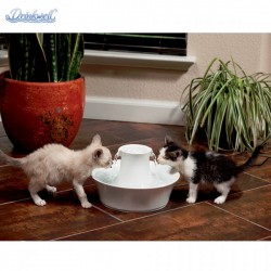 Fontana Drinkwell in ceramica Avalon per cani e gatti