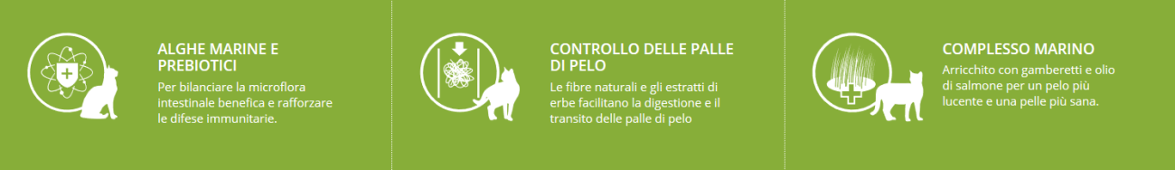 Iconografica uso Indoor Adult Lamb alimento per gatti adulti che vivono in casa